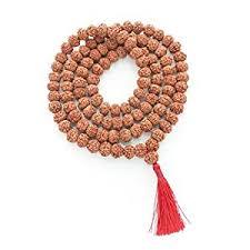 10 Mukhi Rudraksha Mala Indonesian Java
