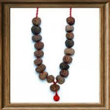 11 Mukhi Rudraksha Mala Indonesian Java