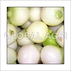 सफेद प्याज