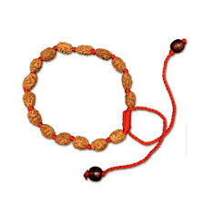 2 Mukhi Rudraksha Indonesian Bracelet