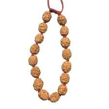 4 Mukhi Rudraksha Indonesian Bracelet