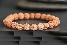 8 Mukhi Rudraksha Indonesian Bracelet
