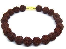 10 Mukhi Rudraksha Indonesian