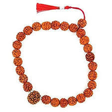 10 Mukhi Rudraksha Indonesian