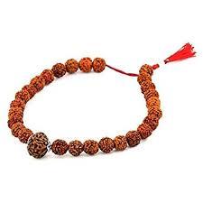10 Mukhi Rudraksha Indonesian