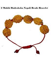2 Mukhi Nepal Rudraksha Bracelet