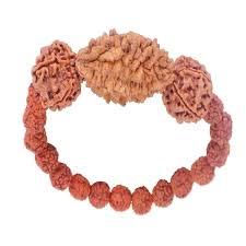 2 Mukhi Nepal Rudraksha Bracelet