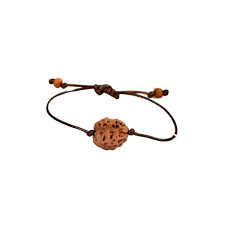 2 Mukhi Nepal Rudraksha Bracelet
