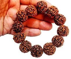 6 Mukhi Nepal Rudraksha Bracelet