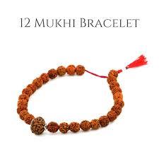 12 Mukhi Nepal Rudraksha Bracelet