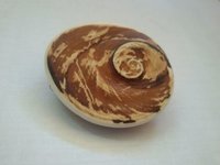 धार्मिक यंत्र