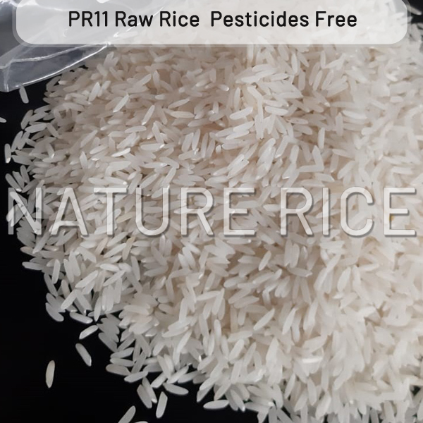 Organic Pr11 White Raw Rice