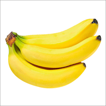 Cavendish Banana