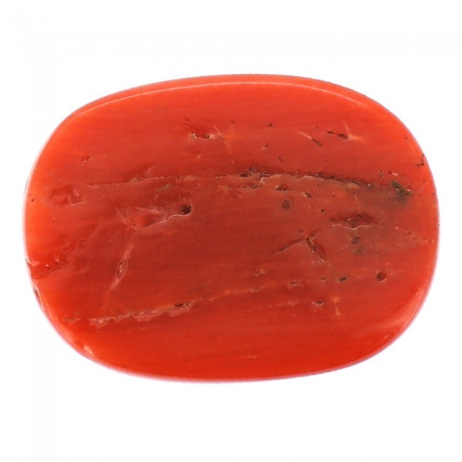Red Coral - Natural Red Coral, Triangle Shape, 10.08 Carats | Enhances Love Life, Financial Stability, Self-confidence, Energy, And Morality
