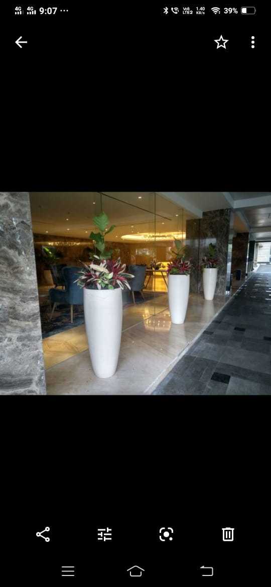 Grc Planter - Polished Finish, Grc Material (White Cement + Glass Fibre), Available In Multiple Colors
