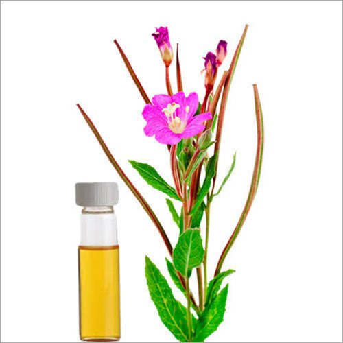 पाल्मारोसा एसेंशियल ऑयल शुद्धता: 99.9%