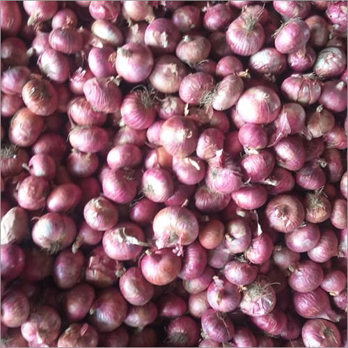 Naturalal Red Onion