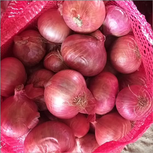 Red Onion - Organic, Natural Shape | 6 Months Shelf Life, Worldwide Export