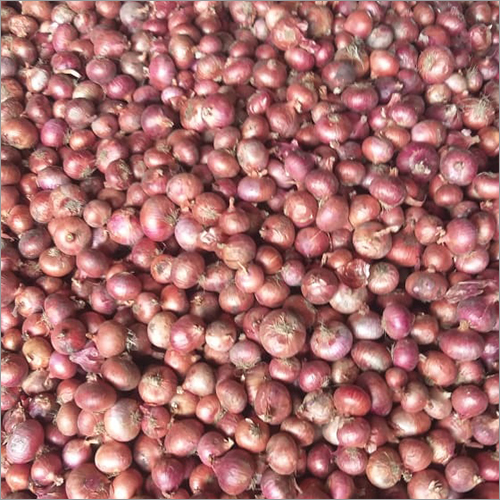 Red Onion - Organic, Natural Shape | 6 Months Shelf Life, Worldwide Export