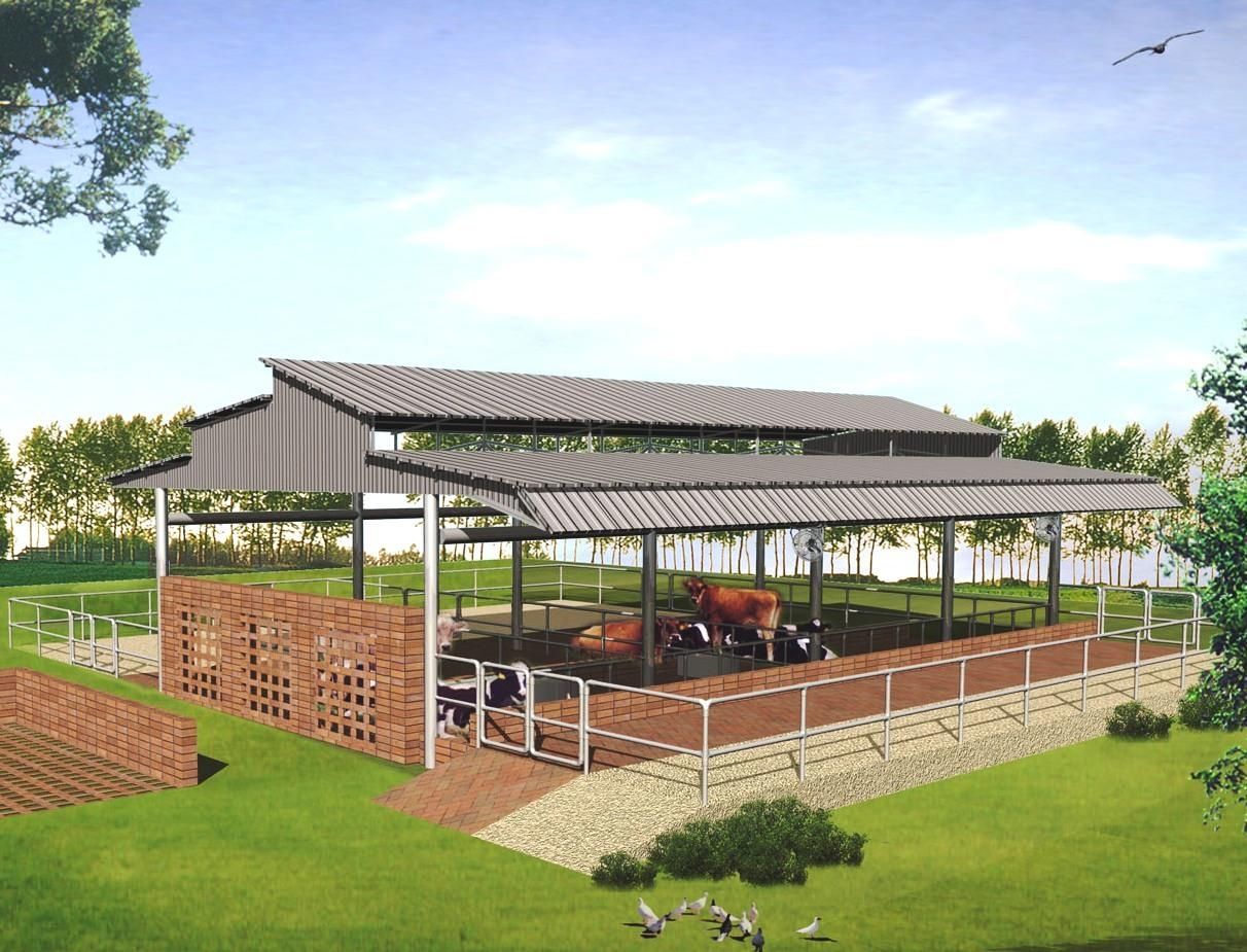 Dairy  Farm Structure Dimension (L*w*h): Meter  Meter (M)