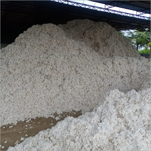 Organic White Raw Cotton