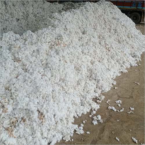 White Pure Raw Cotton