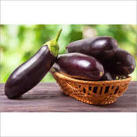 Fresh Brinjal