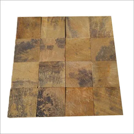 Fossils Sandstone
