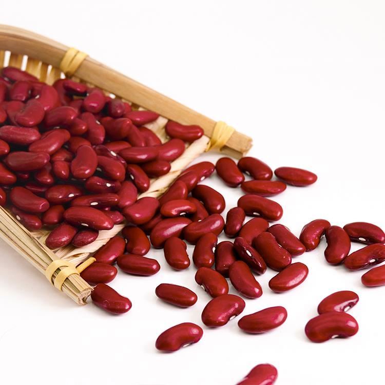 Red Kidney Bean - High Protein Content, Rich In Dietary Fiber, Versatile Cooking Ingredient