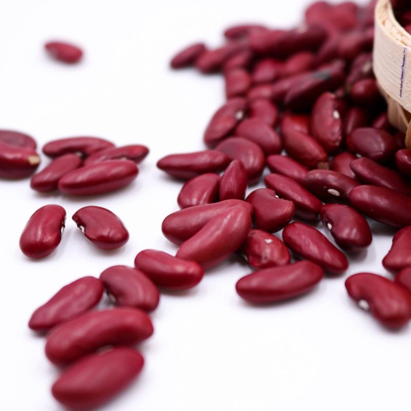 Red Kidney Bean Available
