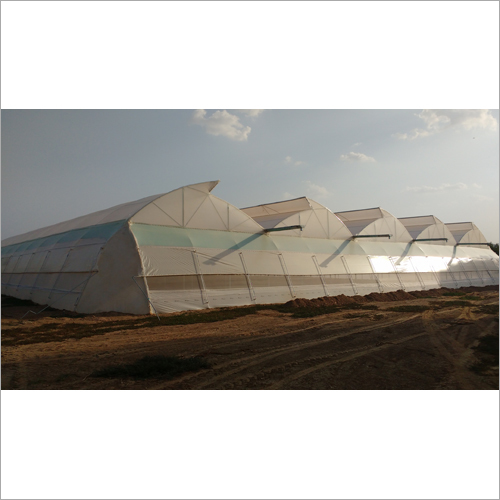 Commercial Green House Structure
