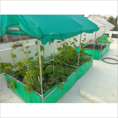 Organic Kitchen Garden