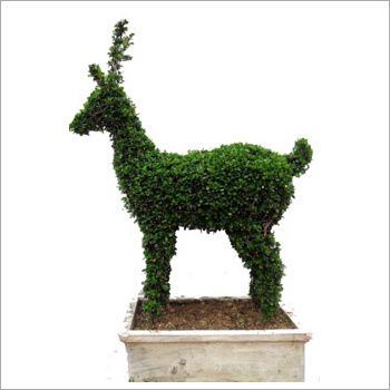 Green Beautiful Baby Deer Topiary Plant