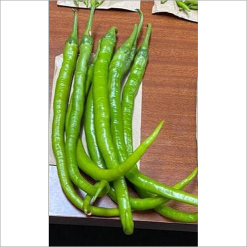Green Fit Hybrid Green Chili Seeds