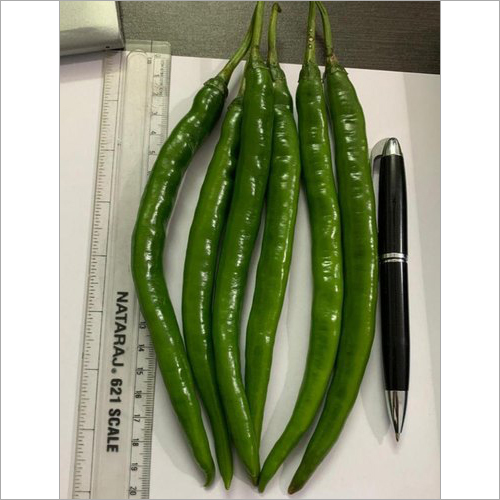 Dark Gold F1 Hybrid Chili Seeds