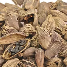 Black Cardamom