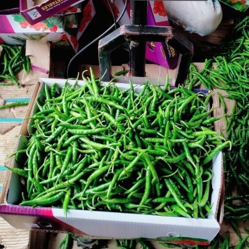 Green Chilli
