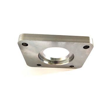 Polished Special Flange