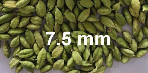 Green Cardamom Grade: A