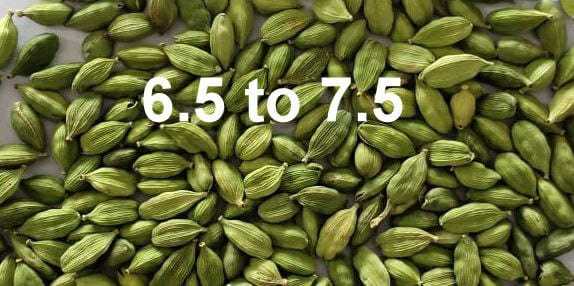 Green Cardamom Grade: A