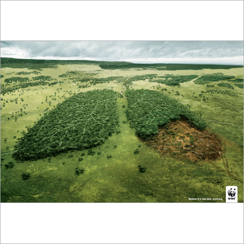 Environmental Impact Assessment Studies Service