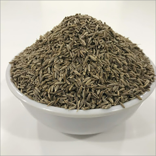 Singapore Quality 981 Cumin Seed - Grade A, Dry Storage, As Per Requirement Kilograms (kg) | Rich Aroma, Nutrient-Rich Cumin Seeds