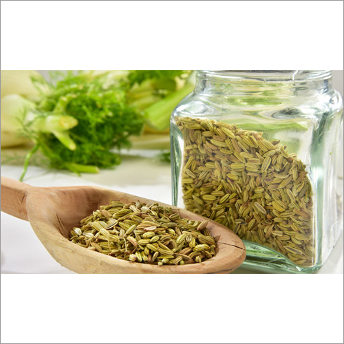 Indian Super Fennel Seeds - Grade A, Dried |  Nutritional Benefits, Versatile Uses in Cooking, Varied Packaging Options