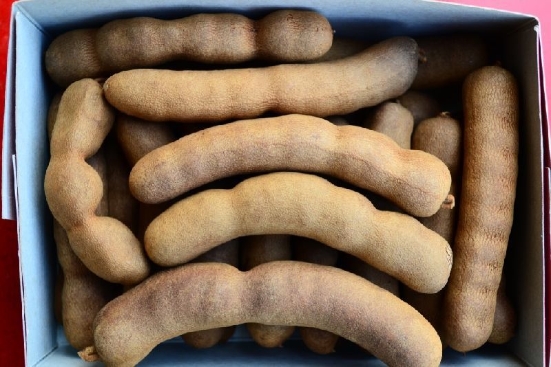 High Quality Fresh Tamarind/tamarind Seeds/tamarind Paste