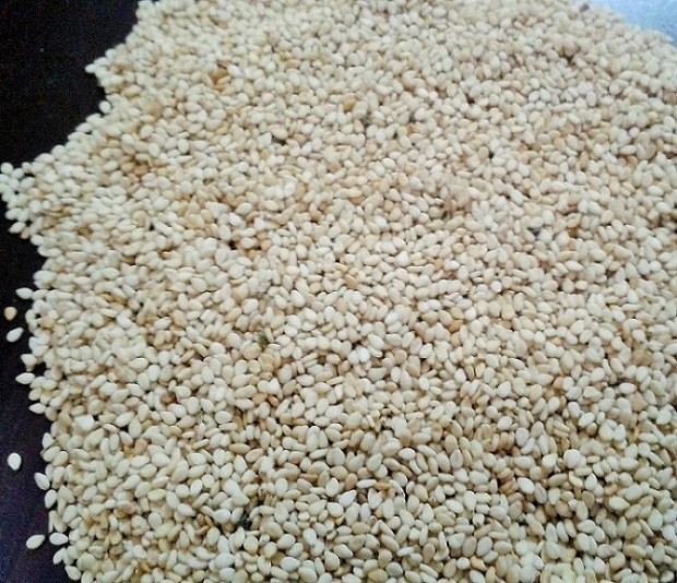 High Quality Raw Cashew Nut