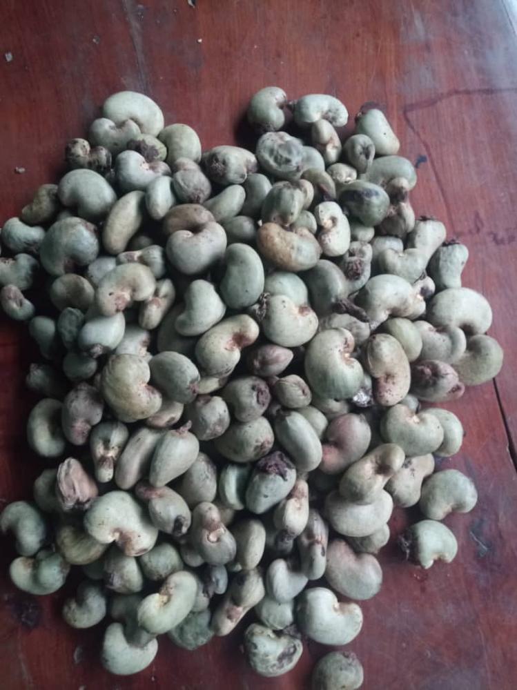 100% Natual Cashew Nuts High Quality Cashew W320