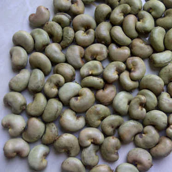100% Raw Natural Cashew Nuts