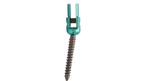 Silver And Green Single Lock Reduction Screw