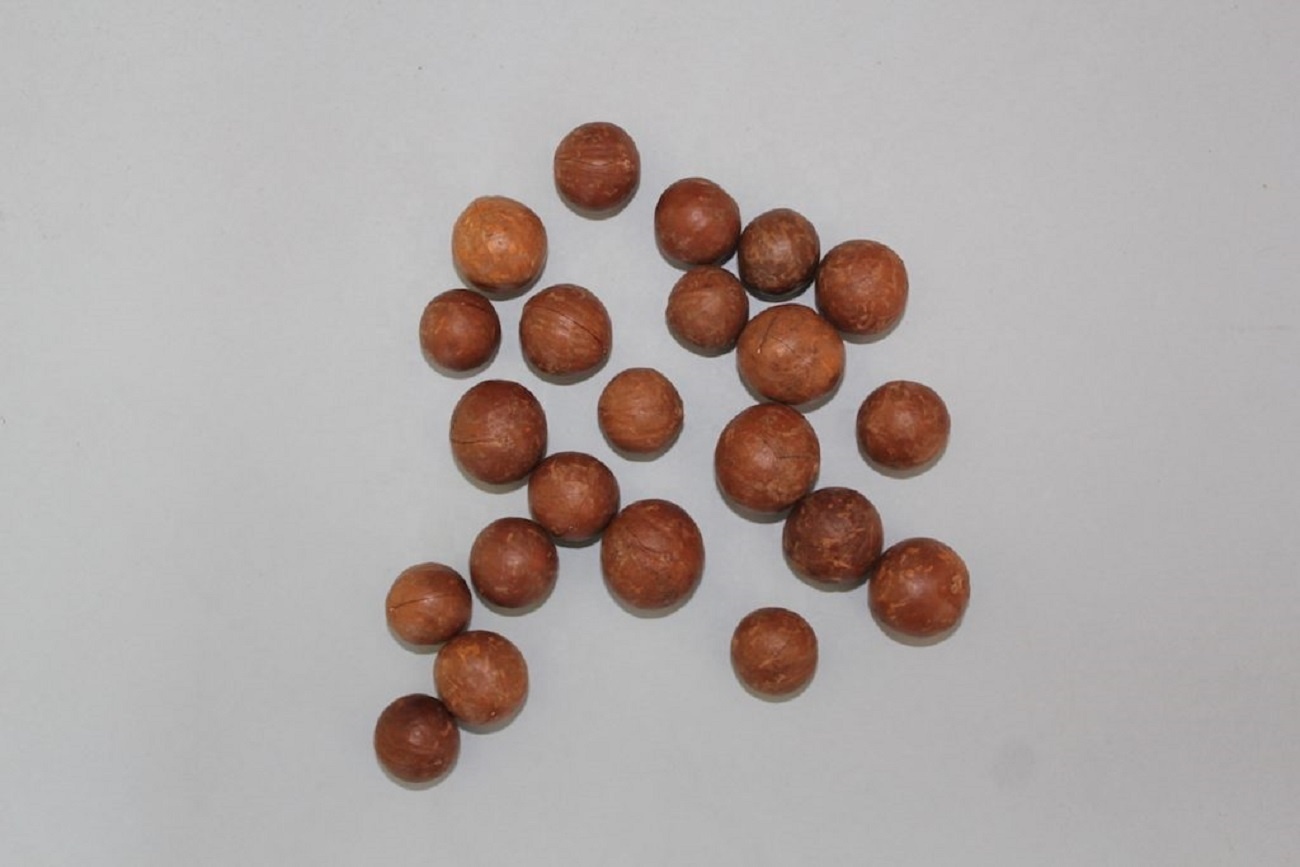 Macadamia Nuts, Roasted Macadamia, Organic Macadamia Nuts