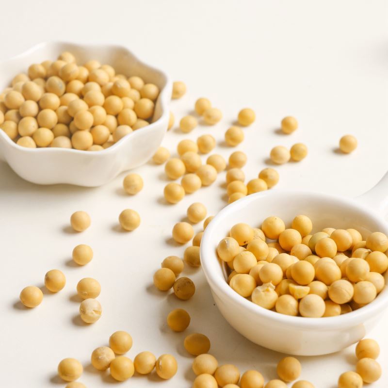 Soya Bean Seeds - Grade #1 Yellow Soybeans, 80-120 Mesh Particle Size, 21.3% Oil Content, 40.8% Minimum Protein, Non-gmo, Fit For Human Consumption